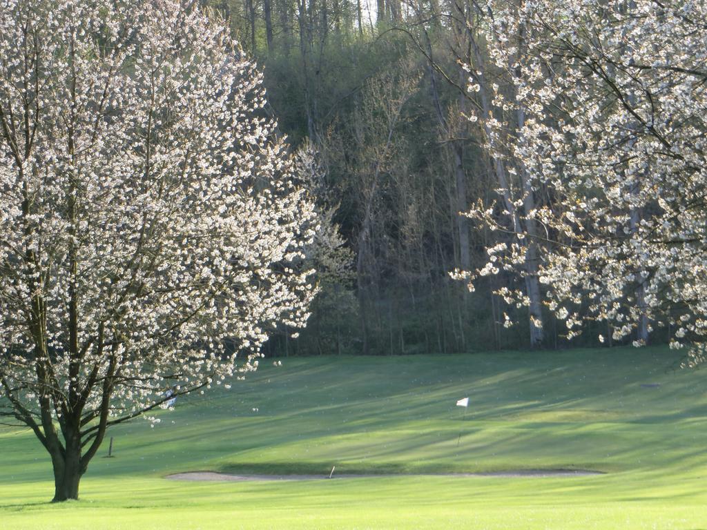 Golf & Hotel De Falnuee Mazy Eksteriør bilde